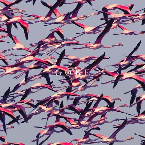 Gore cover