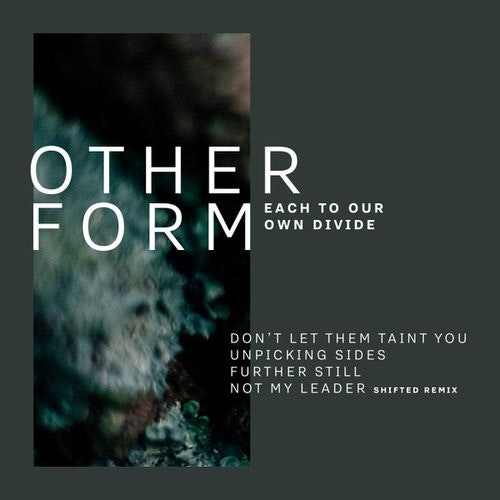 Cover for Each to Our Own Divide