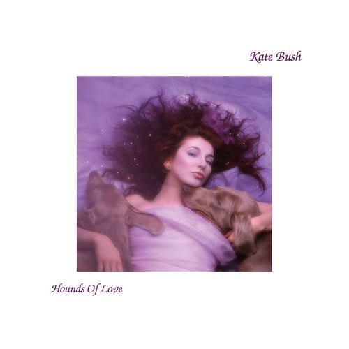 Cover for Hounds Of Love