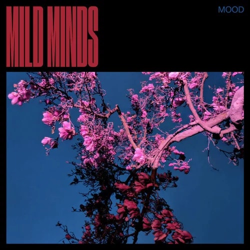 Cover for Mood
